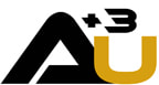 Auric Gold & Minerals, Inc. - Auric-Fulstone (IOCG) Iron Oxide Copper-Gold Mining Project